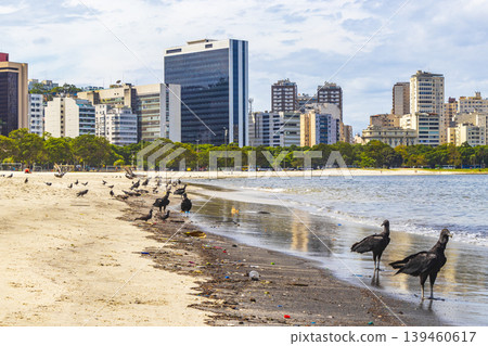 Tropical Black Vultures and pigeons Botafogo Beach Rio de Janeiro. Tropical Black Vultures and pigeons Botafogo Beach Rio de Janeiro. 139460617