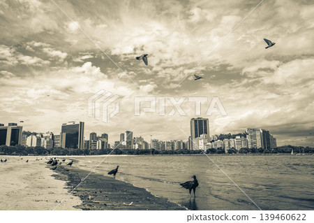 Tropical Black Vultures and pigeons Botafogo Beach Rio de Janeiro. 139460622