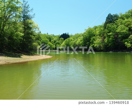 Fresh green scenery at Sawanoike Pond in Kyoto Fresh green scenery at Sawanoike Pond in Kyoto 139460918