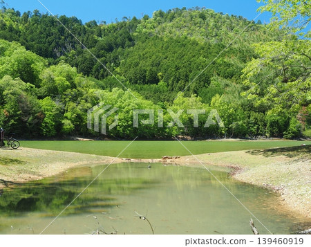 Fresh green scenery at Sawanoike Pond in Kyoto Fresh green scenery at Sawanoike Pond in Kyoto 139460919
