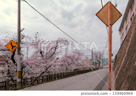 Road sign with cherry trees Road sign with cherry trees 139460969