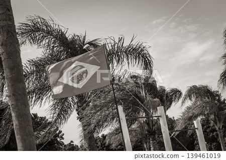 Brazilian flag with palm trees and blue sky background Brazil. Brazilian flag with palm trees and blue sky background Brazil. 139461019