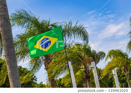 Brazilian flag with palm trees and blue sky background Brazil. 139461020