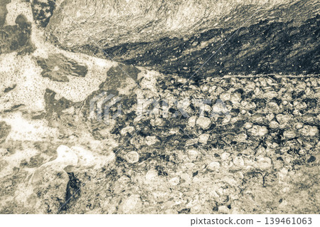 Rock with shells mussels Flamengo Beach Rio de Janeiro Brazil. 139461063