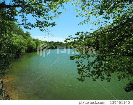 Fresh green scenery at Sawanoike Pond in Kyoto Fresh green scenery at Sawanoike Pond in Kyoto 139461140