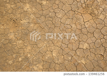 Cracked ground Cracked ground 139461256