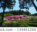 Azalea scenery at Mimuroto-ji Temple 139461260