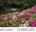 Azalea scenery at Mimuroto-ji Temple 139461265