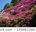 Azalea scenery at Mimuroto-ji Temple 139461266