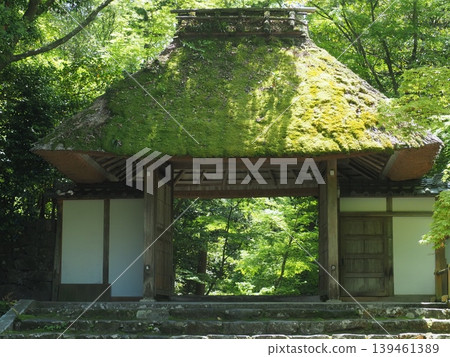 京都法然院,掩映在蔥鬱的綠蔭之中。 京都法然院,掩映在蔥鬱的綠蔭之中。 139461389
