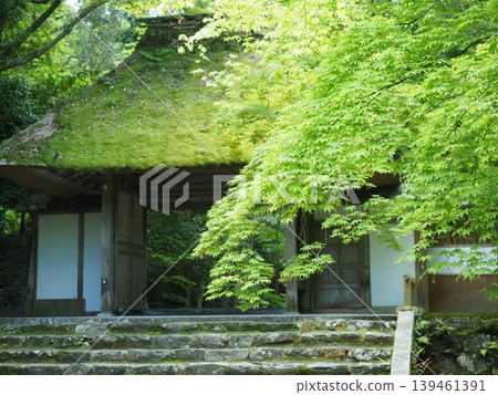 京都法然院,掩映在蔥鬱的綠蔭之中。 京都法然院,掩映在蔥鬱的綠蔭之中。 139461391