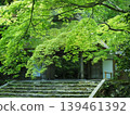 Hōnen-in Temple in Kyoto, amidst the fresh greenery of spring. 139461392