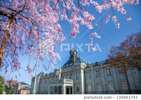 Sakura no Bunshokan Sakura no Bunshokan 139461743