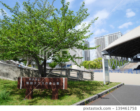 有明網球森林公園的景色 139461758