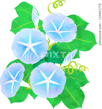 水彩風格牽牛花插圖 - 藍色 水彩風格牽牛花插圖 - 藍色 139461778