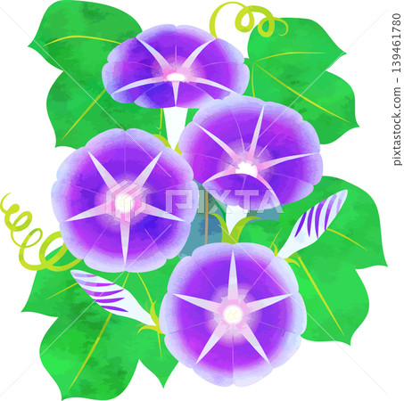 水彩風格牽牛花插圖 - 紫色 水彩風格牽牛花插圖 - 紫色 139461780