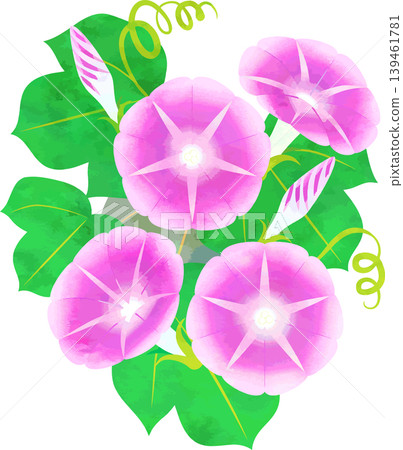 水彩風格牽牛花插圖 - 粉紅色 水彩風格牽牛花插圖 - 粉紅色 139461781