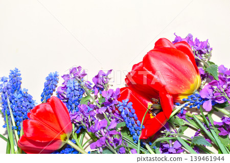 Bouquet of red tulips and blue muscari flowers. Bouquet of red tulips and blue muscari flowers. 139461944