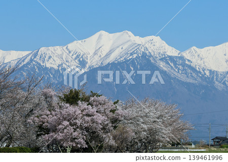 北阿爾卑斯山和櫻花 北阿爾卑斯山和櫻花 139461996
