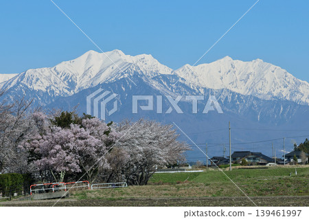 Northern Alps and Sakura Northern Alps and Sakura 139461997