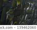 colorful art background from paint strokes, texture for design 139462060