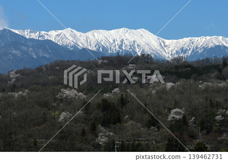 北阿爾卑斯山和櫻花 北阿爾卑斯山和櫻花 139462731