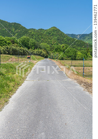 滋賀縣大津市湖西地區平的鄉村景觀 滋賀縣大津市湖西地區平的鄉村景觀 139462771
