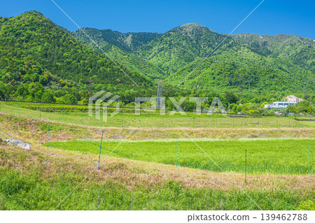滋賀縣大津市湖西地區平的鄉村景觀 滋賀縣大津市湖西地區平的鄉村景觀 139462788