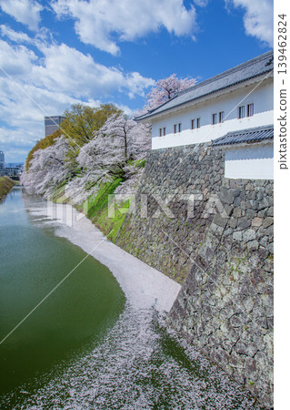 Cherry tree of moat Cherry tree of moat 139462824