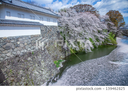Cherry tree of moat Cherry tree of moat 139462825