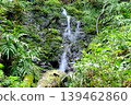 【神奈川縣】水從岩石上流下的小瀑布。 139462860