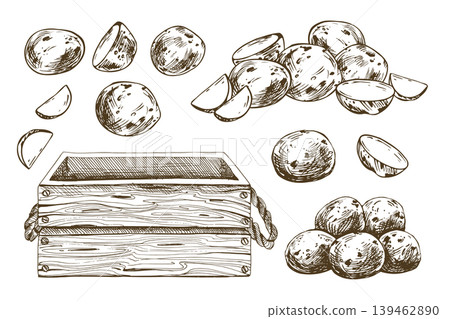 Hand drawn sketch illustration of fresh baby potato in wooden box. Farm harvest crop and organic vegetable design for grocery store, food package, cooking recipe and healthy nutrition menu. Hand drawn sketch illustration of fresh baby potato in wooden box. Farm harvest crop and organic vegetable design for grocery store, food package, cooking recipe and healthy nutrition menu. 139462890
