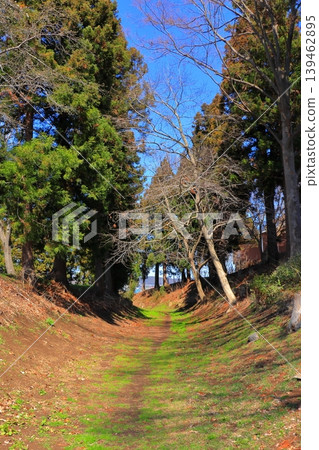 The arrival of spring in the northern country | Feeling the changing seasons in the square of Nejo Castle, the scenery along the walking path 139462895