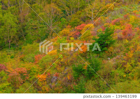 Autumn foliage on Mount Bandai: A view of the colorful mountainside from near Nakanoyu. Autumn scenery, Fukushima Prefecture. 139463199