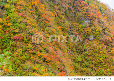 磐梯山的山坡被秋色染成一片絢麗，鮮豔的紅色和黃色交相輝映，構成了一幅令人嘆為觀止的福島縣秋景。 139463203