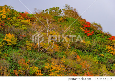 The slopes of Mount Bandai are ablaze with autumn colors, creating a stunning contrast of vibrant red and yellow. A breathtaking autumn scene in Fukushima Prefecture. The slopes of Mount Bandai are ablaze with autumn colors, creating a stunning contrast of vibrant red and yellow. A breathtaking autumn scene in Fukushima Prefecture. 139463206
