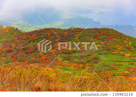 從磐梯山眺望雲海與秋葉：升騰的雲與秋色斑斕的山坡形成鮮明對比。福島縣。 139463219