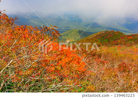 A sea of clouds and autumn foliage viewed from Mount Bandai: The contrast between the rising clouds and the autumn-colored mountain slopes. Fukushima Prefecture. A sea of clouds and autumn foliage viewed from Mount Bandai: The contrast between the rising clouds and the autumn-colored mountain slopes. Fukushima Prefecture. 139463223