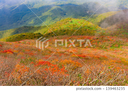 從磐梯山頂附近眺望：秋葉與綠植交相輝映，山腳下的城鎮景色透過雲層隱約可見。福島縣。 139463235