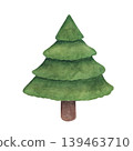 Pine tree in a hand-drawn watercolor style 139463710