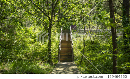 Badahyanggi Arboretum Badahyanggi Arboretum 139464260