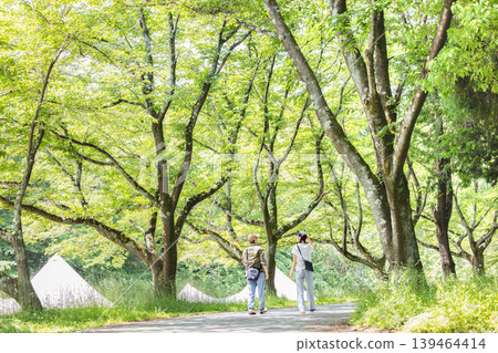 A couple walking in the fresh green A couple walking in the fresh green 139464414