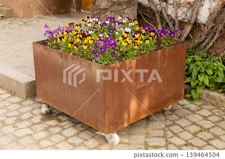 A metal planter on wheels holds bright flowers in purple, yellow, and white. It sits on a cobblestone street next to a tree in a small town. The sun lights up the scene A metal planter on wheels holds bright flowers in purple, yellow, and white. It sits on a cobblestone street next to a tree in a small town. The sun lights up the scene 139464504