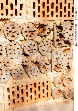 The insect hotel made from wood and clay provides a safe space for various insects in a garden. It shows different sections for different species, all arranged neatly 139464518