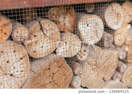 An insect hotel made from logs is set up in a garden. The wooden pieces have holes that attract insects. This structure helps enhance biodiversity in the area An insect hotel made from logs is set up in a garden. The wooden pieces have holes that attract insects. This structure helps enhance biodiversity in the area 139464525