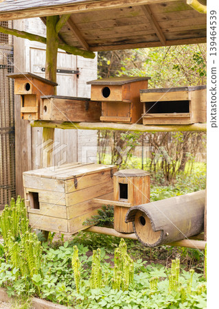 Several wooden birdhouses are placed on a wooden structure in a garden. The light shines on the birdhouses. Green plants grow underneath them 139464539