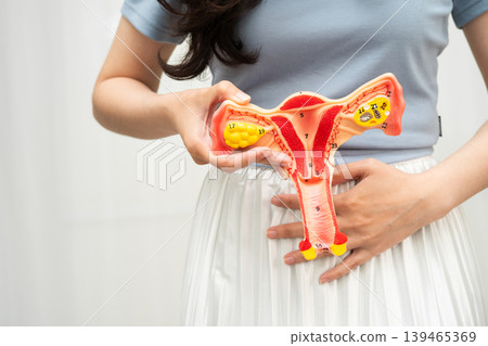 Uterus, Asian woman holding human anatomy model. 139465369