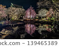 燈光映照下的梅花倒映在水面上，鎌倉長谷寺的夜景盡收眼底。 139465389