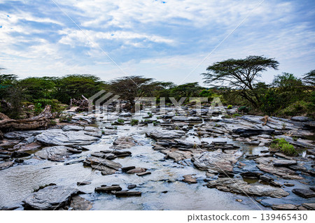 Maasai Mara National Game Reserve Park Narok County Kenya East Africa Savannah Grasslands Wilderness Landscapes Panoramic Scenic Views Wild Wildlife Animals Great Rift Valley Lions Sunset Sunrise Adve 139465430