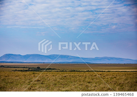 Maasai Mara National Game Reserve Park Narok County Kenya East Africa Savannah Grasslands Wilderness Landscapes Panoramic Scenic Views Wild Wildlife Animals Great Rift Valley Lions Sunset Sunrise Adve 139465468
